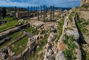 Tour de 1 día a Jerash, Ajloun y Umm Qais desde Amán