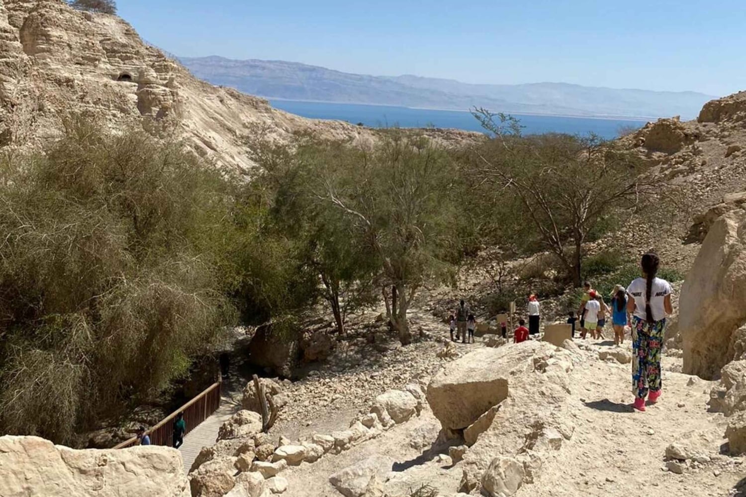 La Reserva Natural de Ein Gedi y el Mar Muerto en ruso