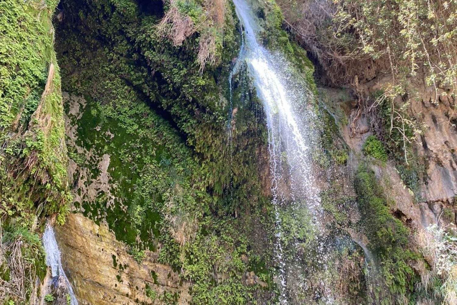 La Reserva Natural de Ein Gedi y el Mar Muerto en ruso