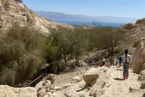 La Reserva Natural de Ein Gedi y el Mar Muerto en ruso