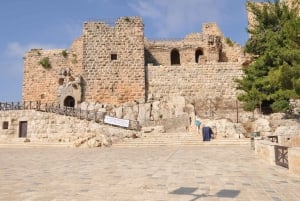 Au départ d'Amman : Excursion d'une journée à Jerash et au château d'Ajloun avec randonnée