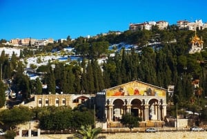 De Amã: Viagem particular de um dia a Jerusalém e Belém