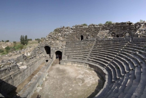 From Amman: Private Jerash, Ajloun Castle, and Umm Qais Tour