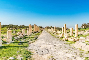 From Amman: Private Jerash, Ajloun Castle, and Umm Qais Tour