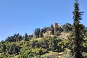 From Amman: Private Jerash, Ajloun Castle, and Umm Qais Tour