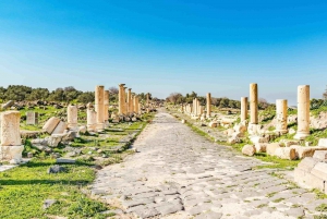 From Amman: Private Jerash, Ajloun Castle, and Umm Qais Tour