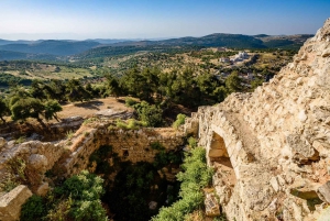 From Amman: Private Jerash, Ajloun Castle, and Umm Qais Tour