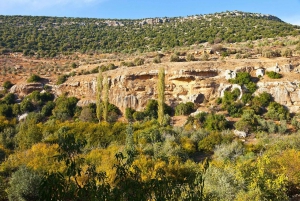 From Amman: Private Jerash, Ajloun Castle, and Umm Qais Tour