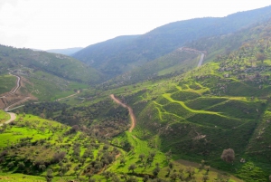 From Amman: Private Jerash, Ajloun Castle, and Umm Qais Tour