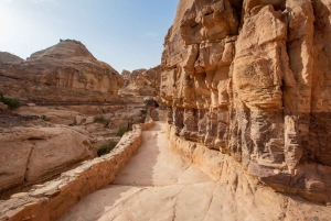 From Eilat, Jerusalem, Tel Aviv: Petra & Wadi Rum 3-Day Tour