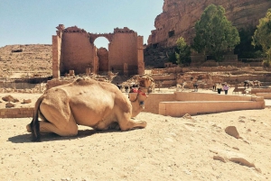 From Jerusalem: 2-Day Tour of Petra + FREE Traditional lunch