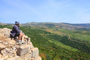 From Jerusalem: Day Trip to Golan Heights and Mount Bental