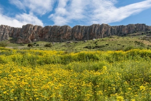 De Jerusalém: viagem de um dia às Colinas de Golã e Monte Bental