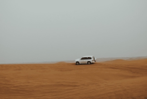 Jerusalemista: Jerusalem: Kuolleenmeren vierailu & aavikkosafari