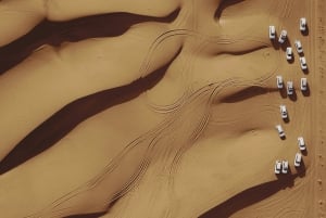 Fra Jerusalem: Besøg ved Det Døde Hav og ørkensafari