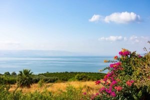 From Jerusalem: Galilee Day Tour