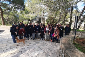 From Jerusalem: Half-Day Bethlehem Guided Tour