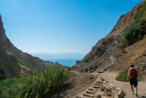 Z Jerozolimy: Masada o wschodzie słońca, Ein Gedi i wycieczka nad Morze Martwe