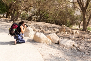 From Jerusalem: Masada at Sunrise, Ein Gedi & Dead Sea Tour