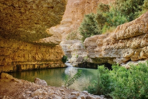 Masada, Ein Guedi, mar Muerto: tour de 1 día desde Jerusalén