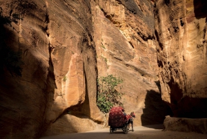 Desde Jersualén: tour de 3 días a Petra y Uadi Rum