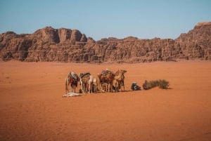 De Jerusalém: Excursão de 3 dias a Petra e Wadi Rum