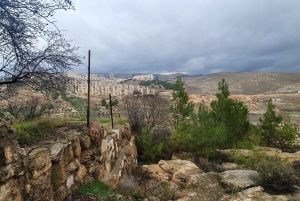 Vanuit Jeruzalem/Tel Aviv: Dagtocht Bethlehem en Dode Zee