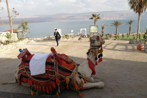 Vanuit Jeruzalem/Tel Aviv: Dagtocht Bethlehem en Dode Zee