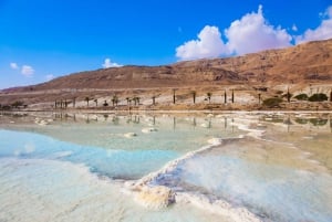 Från Jerusalem: Rundtur i Jeriko, Jordanfloden och Döda havet