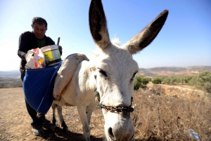 Fra Jerusalem: Heldagstur til Vestbreddens bedste steder