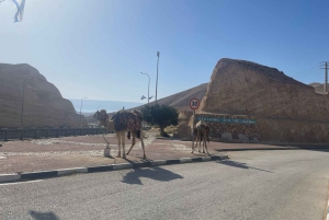 Jlm: Masada Kuolleenmeren pienryhmäretki SISÄLTÄÄ SISÄÄNPÄÄSYMAKSUT