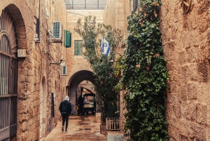 From Tel Aviv: Day Trip to Jerusalem by Rail with Guide