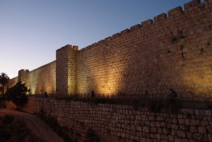 De Tel Aviv: viagem de um dia a Jerusalém de trem com guia