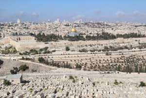 De Tel Aviv: viagem de um dia a Jerusalém de trem com guia