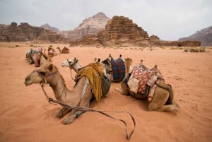 From Tel Aviv: Dead Sea Visit & Desert Safari