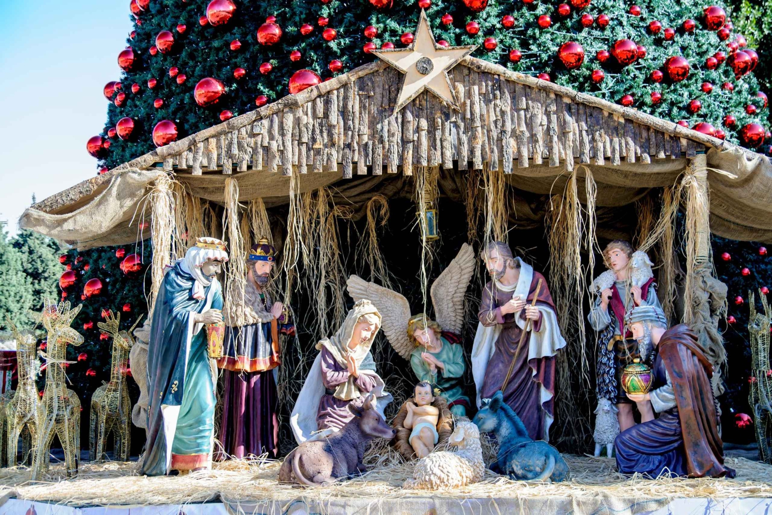 De Tel Aviv/Herzeliya: Passeio de Véspera de Natal em Belém