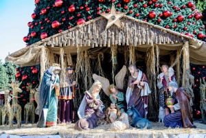 De Tel Aviv/Herzeliya: Passeio de Véspera de Natal em Belém