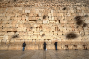 From Tel Aviv: Highlights of Jerusalem's Old City