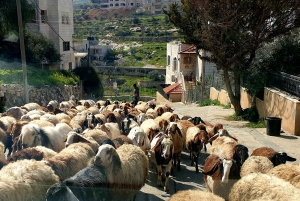 From Tel Aviv: Jerusalem, Bethlehem, & Dead Sea Private Tour