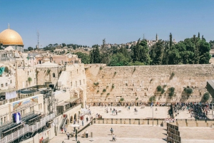 Vanuit Tel Aviv: Dagtour door Jeruzalem met gids