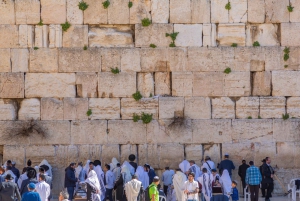 From Tel Aviv or Jerusalem: Jerusalem 3-Hour Walking Tour