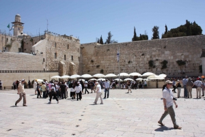 Fra Tel Aviv: Private Jerusalem Highlights Van Tour