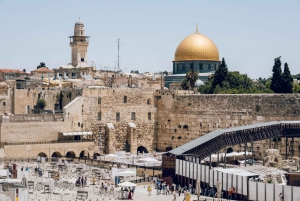 Full-Day Palm Sunday Procession from Jerusalem or Tel Aviv