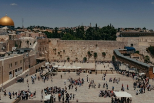 Full-Day Palm Sunday Procession from Jerusalem or Tel Aviv