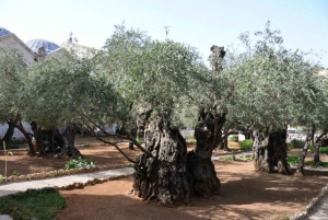 Tour a Gerusalemme con opzione Betlemme o Mar Morto