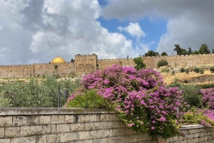 Jerusalem: 3–Hour Old City Tour in French