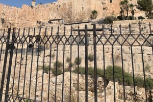 Jerusalem og Betlehem med lisensiert guide fra Haifa havn