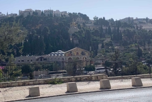 Jerusalem og Betlehem med lisensiert guide fra Haifa havn