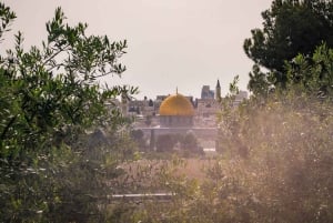 Jerusalem: Guidad tur till Olivberget