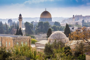 Gerusalemme: tour in autobus della città vecchia e dello Yad Vashem